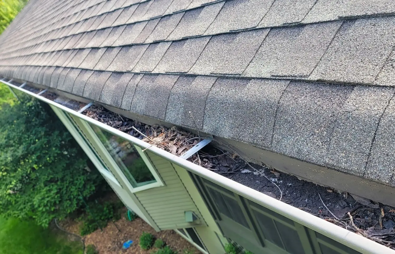 Gutter packed with leaves and twigs before gutter cleaning services in New Prague, MN