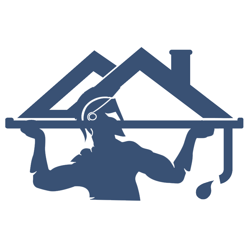 gutter cleaning